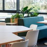 Agora Chair — Agora Stacking Chair