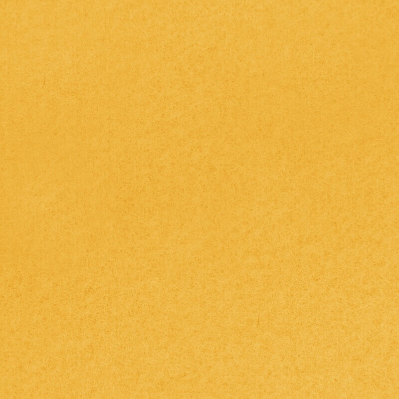 Autex_Vertiface_Senado.22