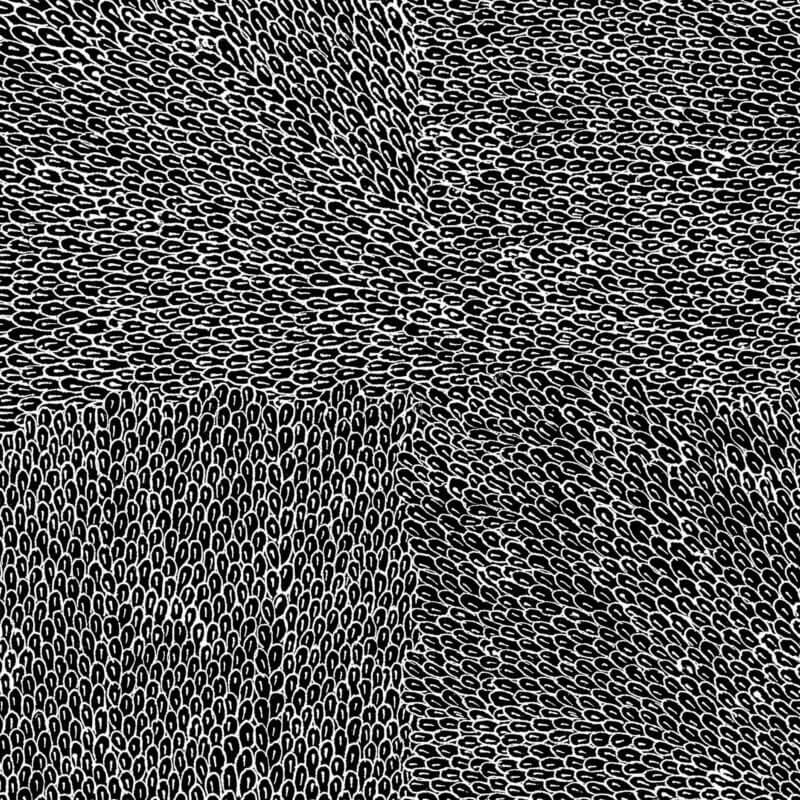Native-Seeds-Mighnight-scaled