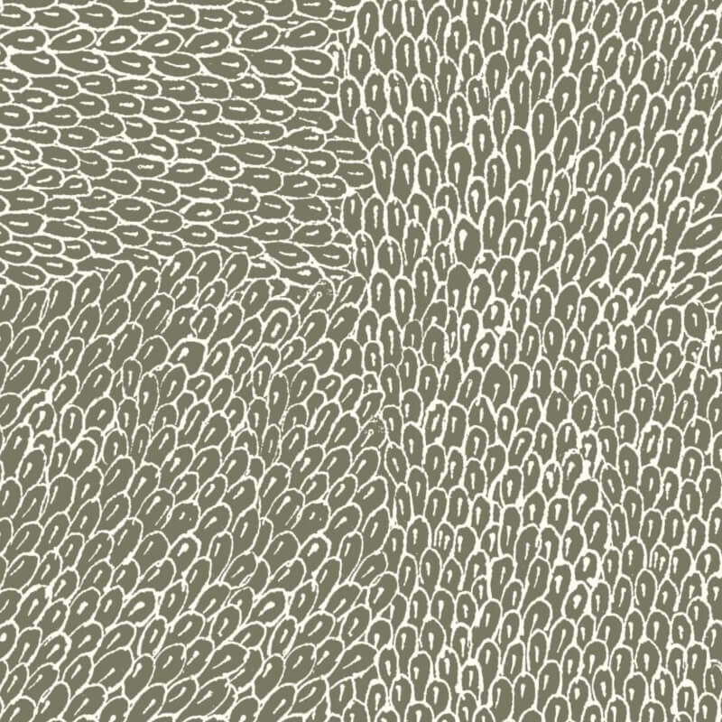 Native-Seeds-Olive-scaled