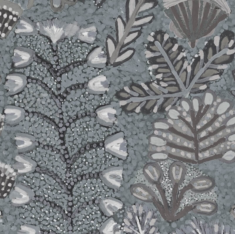 Sugarbag-Dreaming-Ghost-Gum-scaled