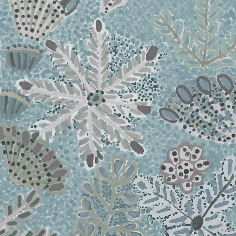 Sugarbag-Dreaming-Saltbush-scaled