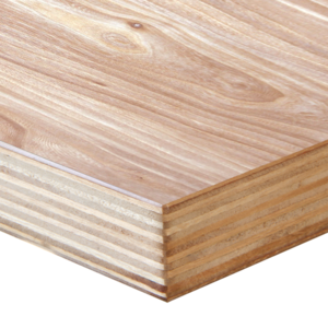 Natural Oak Ply