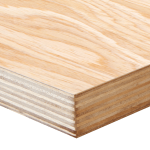 Birch Ply