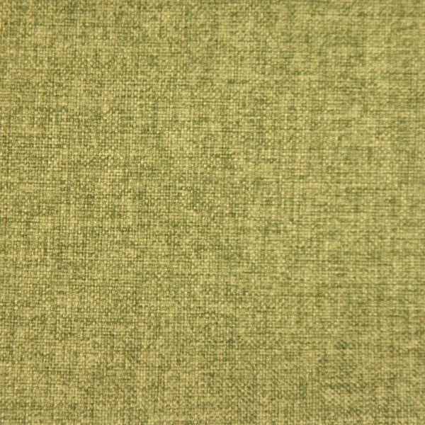 Moss - 600x600