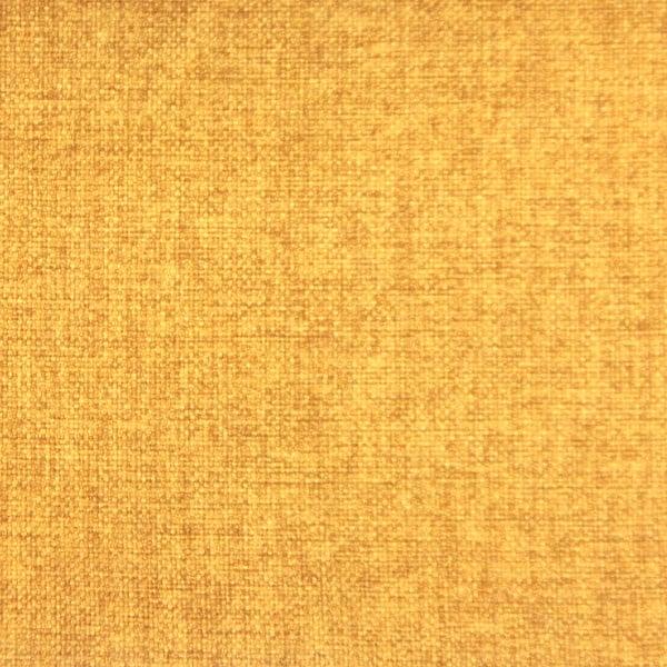 Wattle - 600x600 Wattle - 600x600