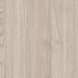 Ligurian Walnut