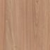 Tasmanian Oak