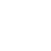 Icon-2