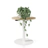 Cirkel Height-adjustable Table — Cirkel Height-adjustable Table