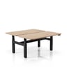Electra Double Height-adjustable Desk — Electra Double Workstation