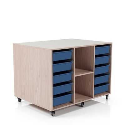 Fusion 20 Tote Storage Unit