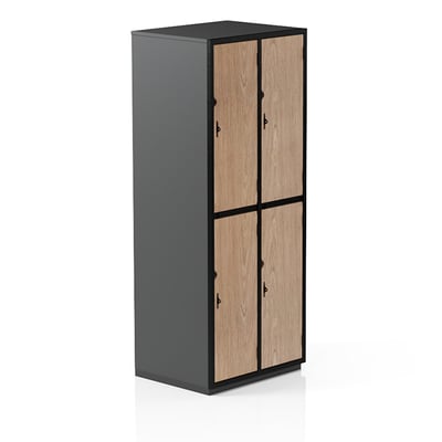 Secure It FD4 Locker