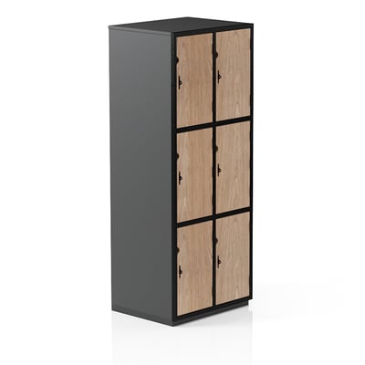 Secure It FD6 Locker