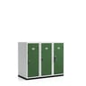Secure It Half Height Lockers — Secure It Half Height Locker