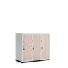 Secure It Half Height Lockers — Secure It Half Height Locker