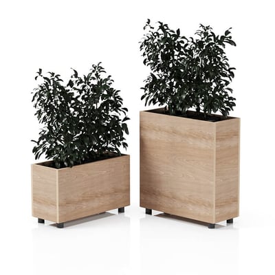 Planta 750