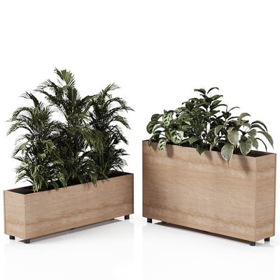 Planta 1370