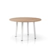 Shinto S3 Round Table — Shinto S3 Round Table