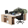 Shinto S2 Pair 2-Person Workstation — Shinto S2 Pair 2-Person Workstation