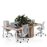 Shinto S2 Bloom 4-Person Workstation — Shinto S2 Bloom 4-Person Workstation