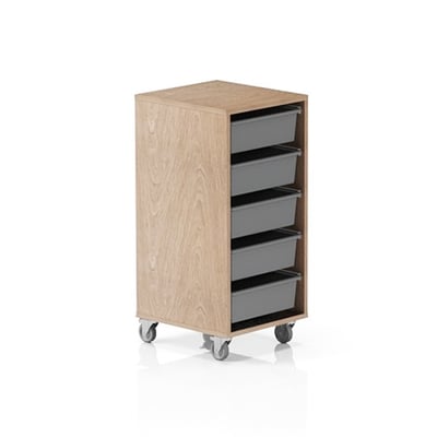 Storewell 5 Tote Trolley