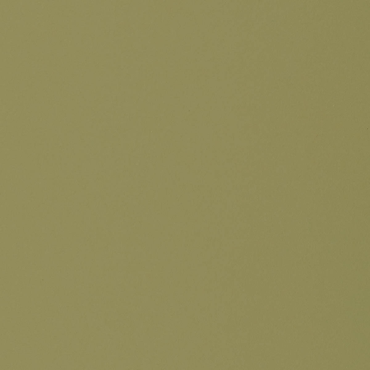 Olive Olive