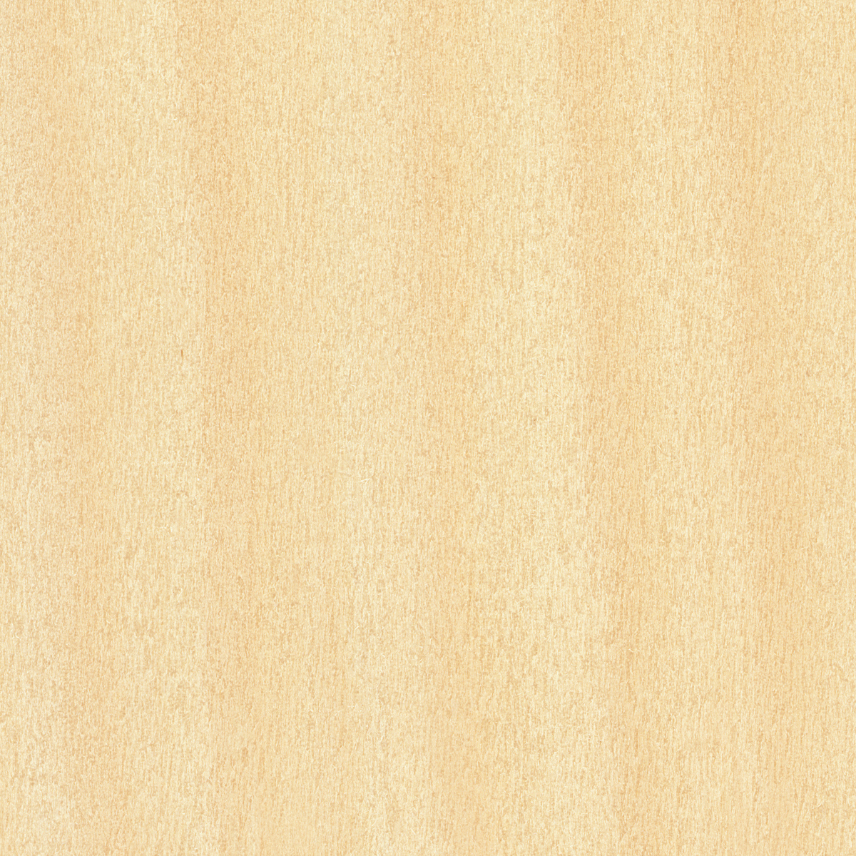 Pine Pine