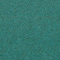 BP2024 BP2024