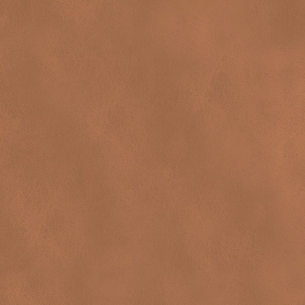 Tan Tan