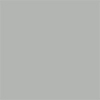 Silver Satin Silver Satin