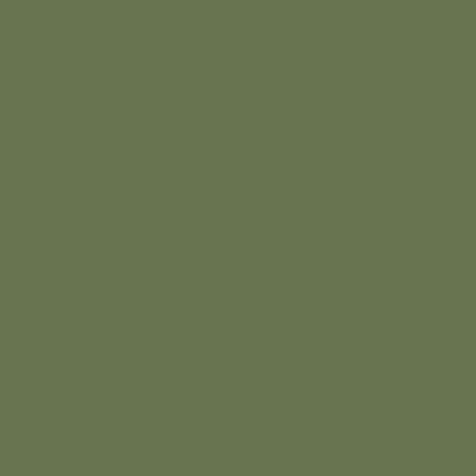 Spinifex Spinifex