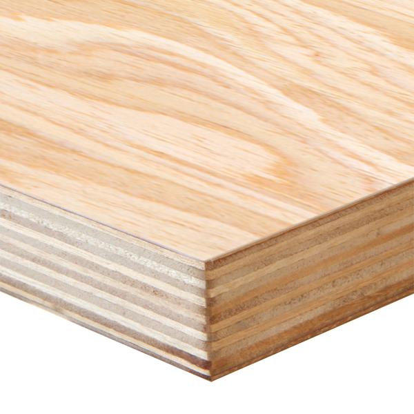 Birch Ply