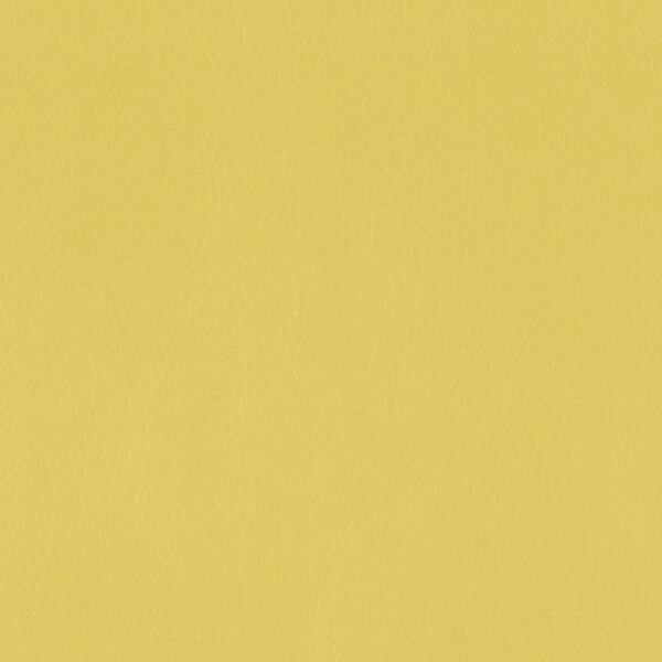 Lustrell Charisma Acacia