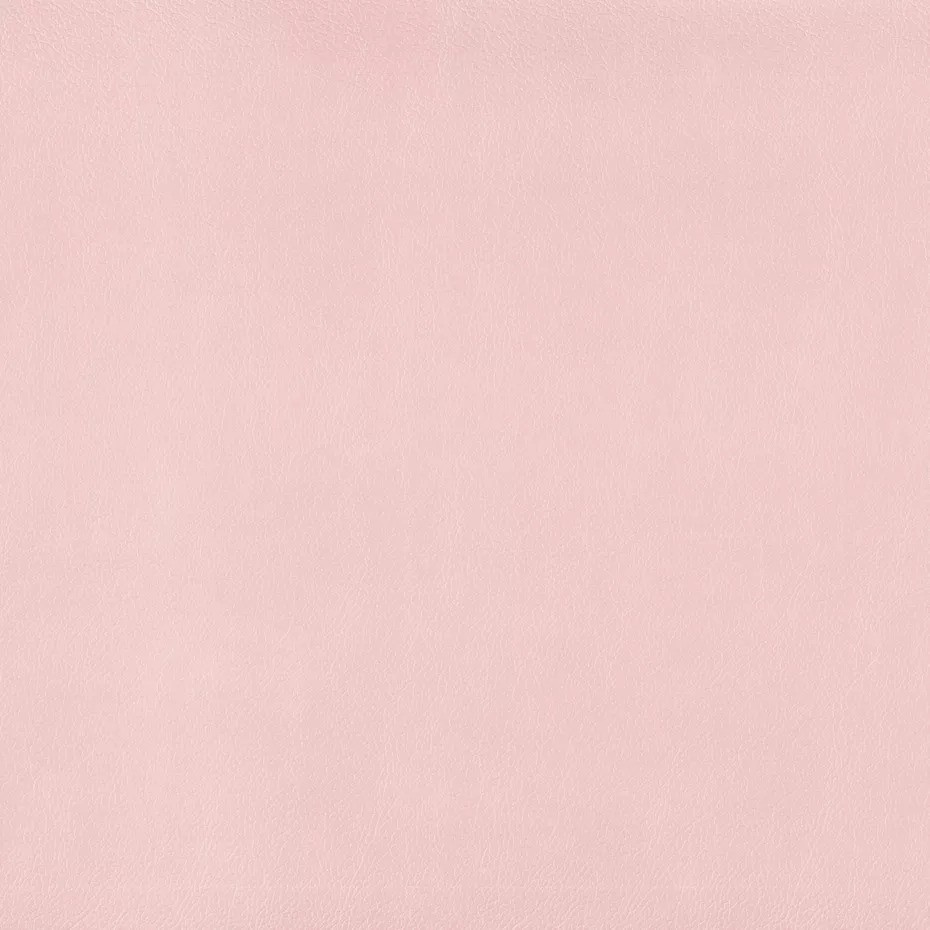 Lustrell Charisma Ballet