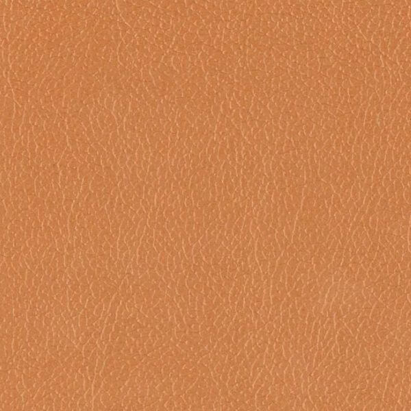 Lustrell Charisma Camel