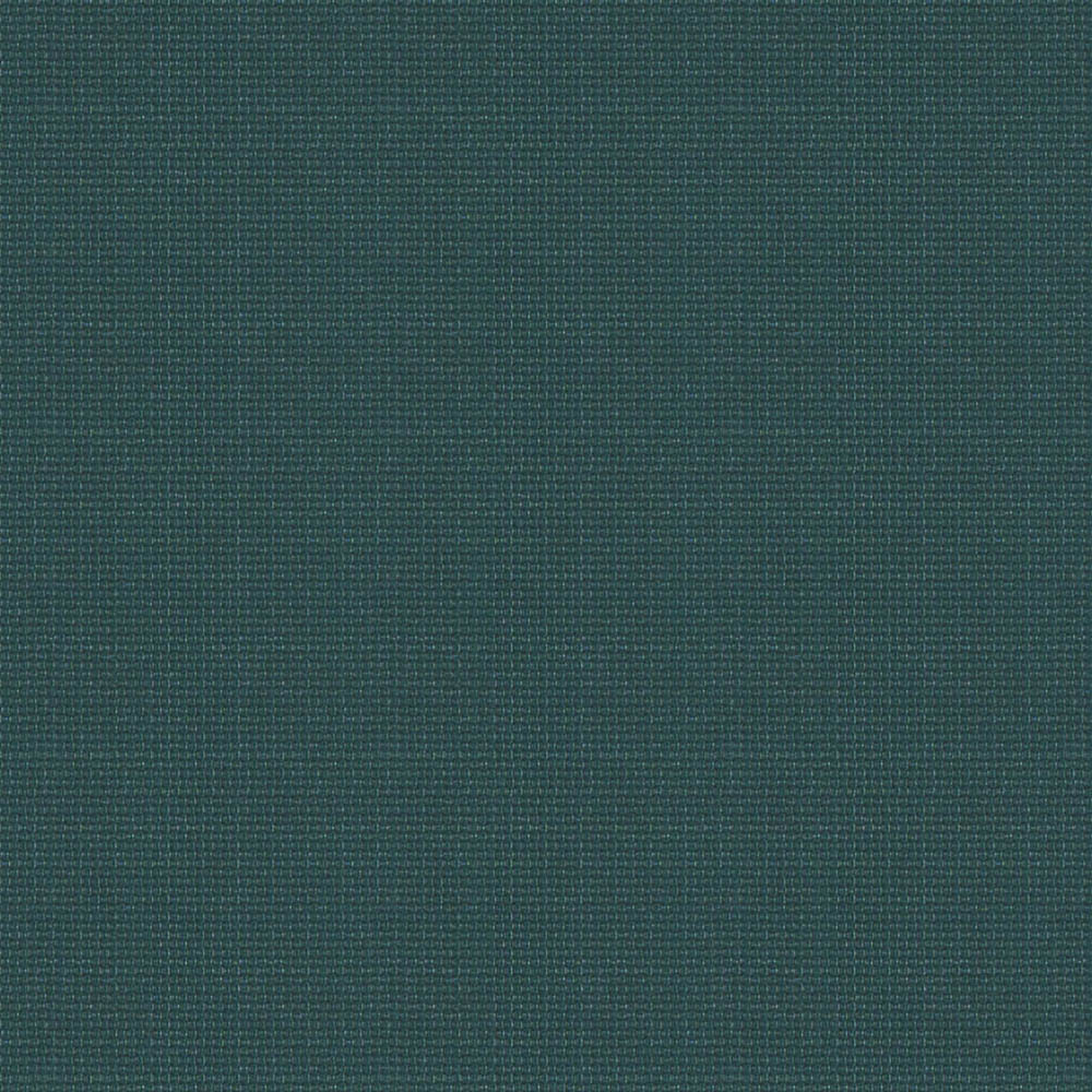 Coral-2102