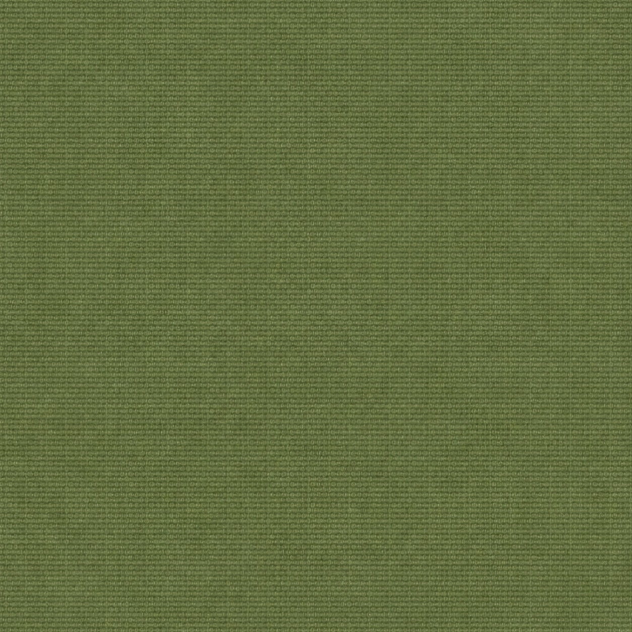 Grass-8479