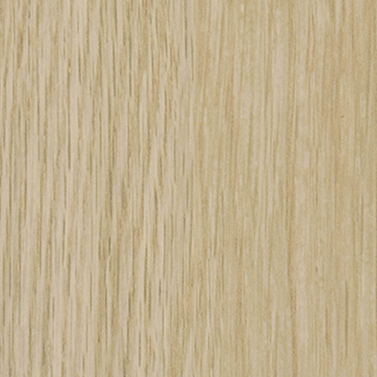 Calm Oak Calm Oak