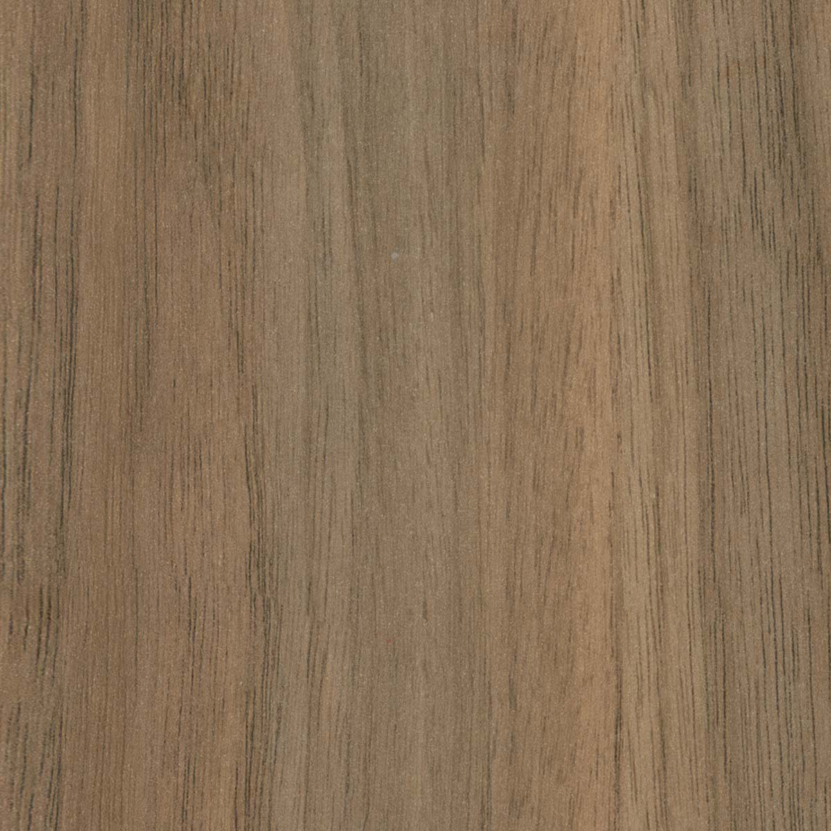 Walnut Walnut