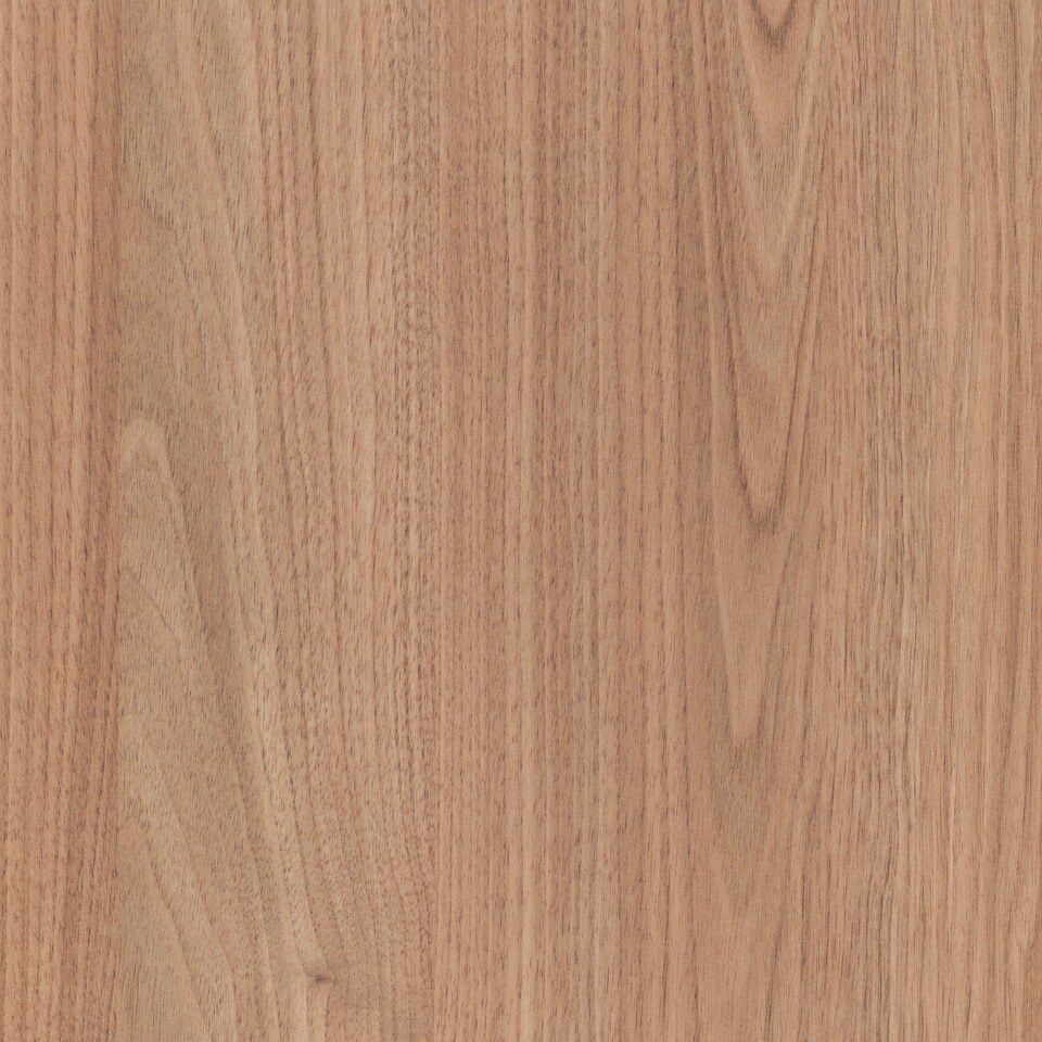 Tasmanian Oak Tasmanian Oak