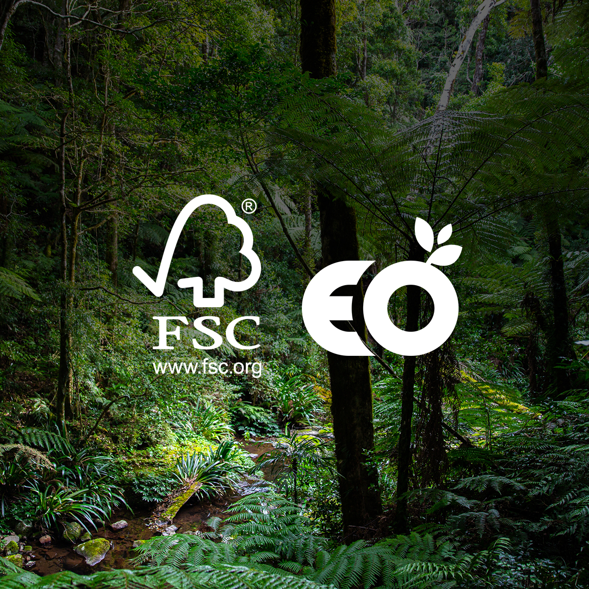 FSC-EO-Banner-01