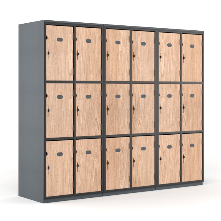 Secure It FD6 Locker Package