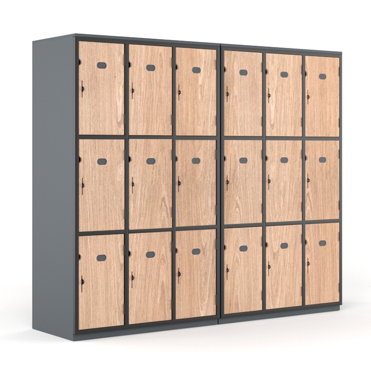 Secure It FT9 Locker Package