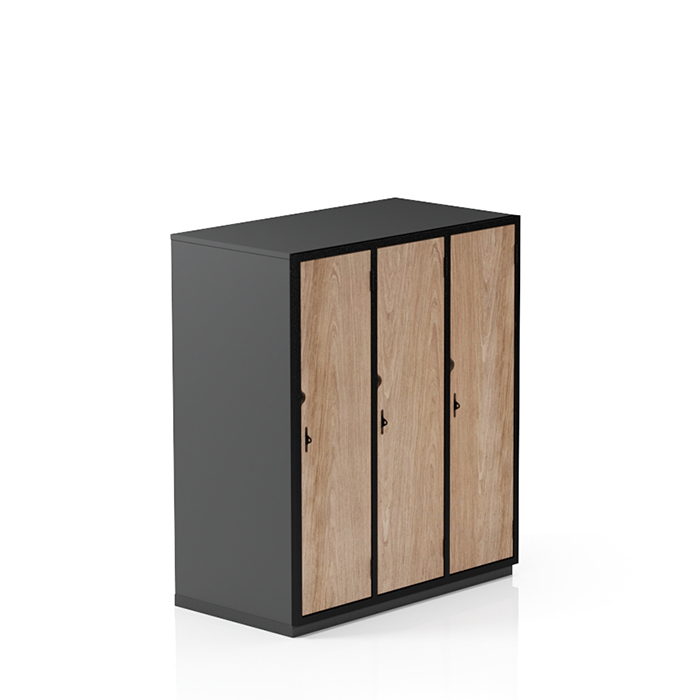 Three Quater Height Locker