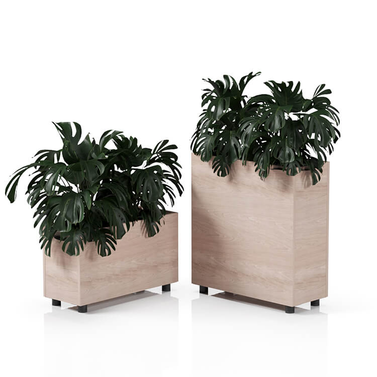 Planta 750