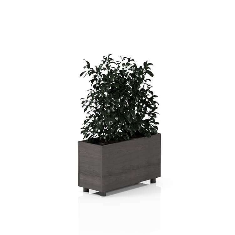 Planta 750
