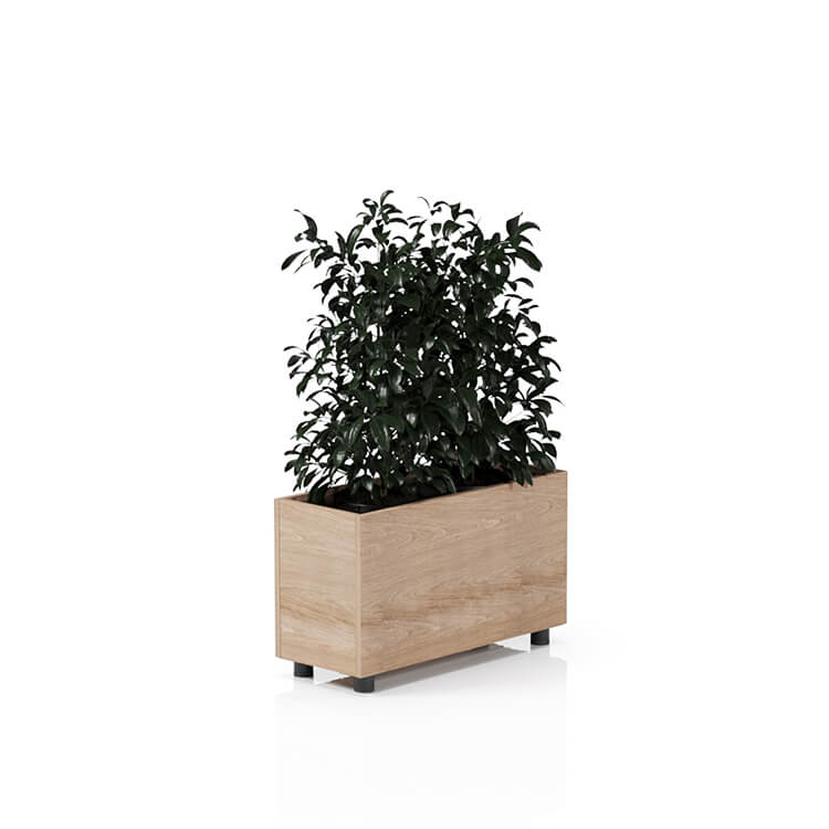 Planta 750