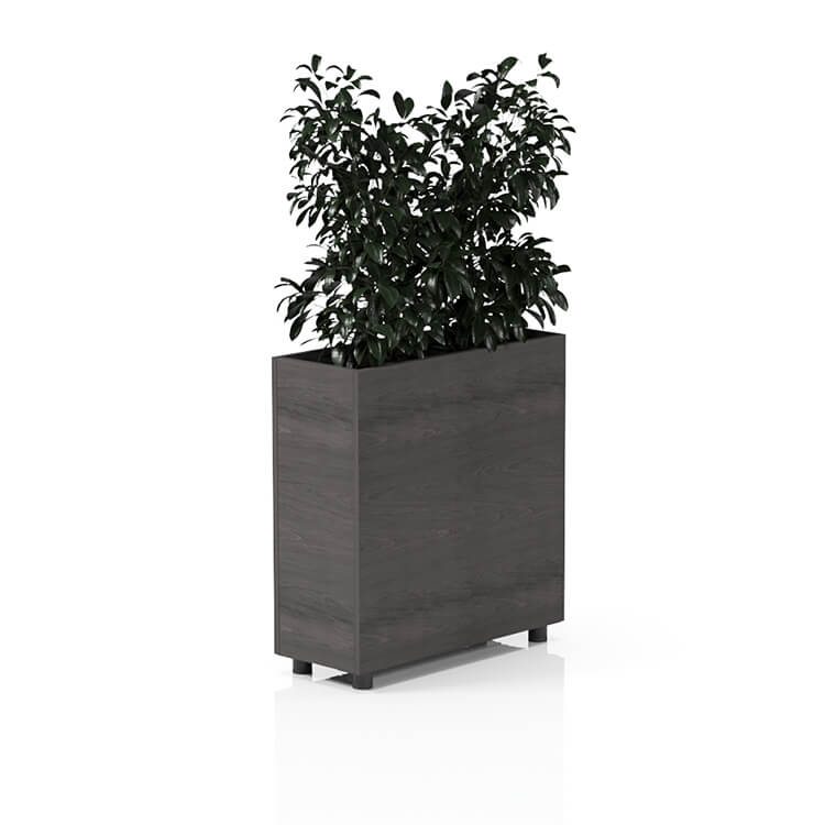 Planta 750