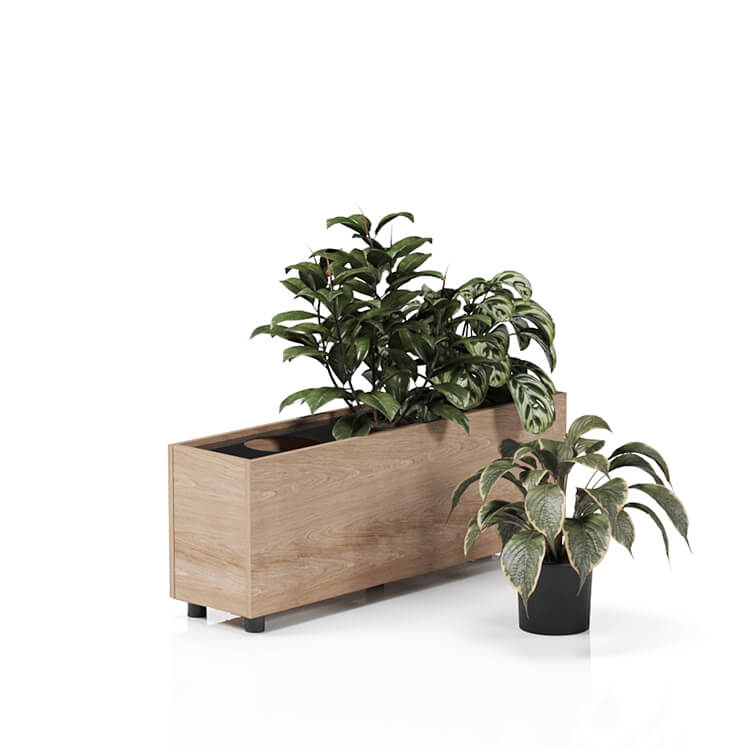 Planta 1200